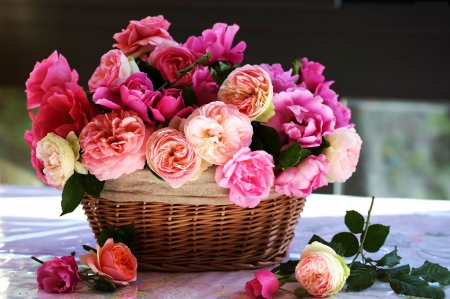 Flowers - roses, basket, blossoms, still life, leaves