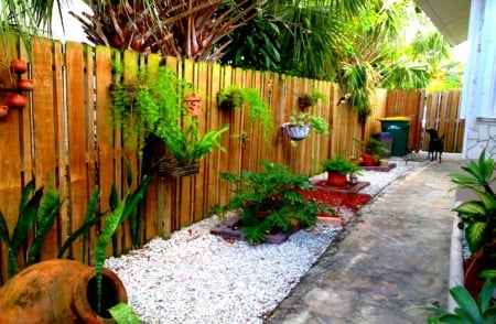 front Door - green, house, plants, dog