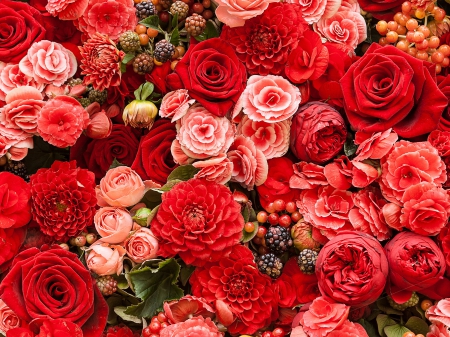 Flowers - dahlia, many, roses, red flowers, rose, red, ranunculus, flowers, dahlias, flower