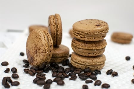 Macarons and Coffee Beans - sweets, coffee, macarons, beans, coffee bean, macarons and coffee beans, coffee beans, brown, sweet, macaron