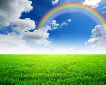 Rainbow field - field, rainbow, nature, grass