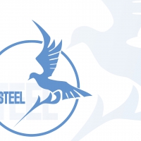 Blue Steel Logo