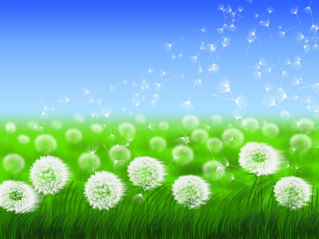 Fantasy Dandelions - white, dandelions, pretty, blue, green, fantasy