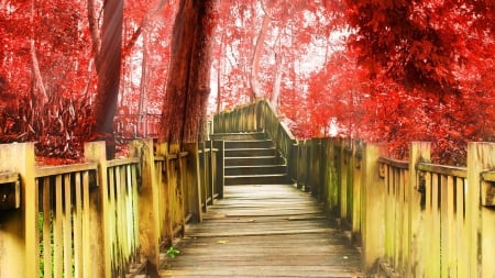 boardwalk through a red autumn forest - boardwalk, autumn, forest, red, mist