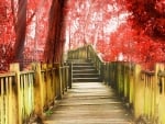 boardwalk through a red autumn forest