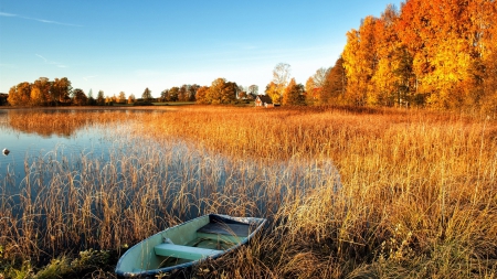 boat in a grass covered lake - lake, fall, forest, boat, house, grass