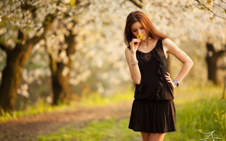 * Spring * - flower, spring, black dress, trees, girl, nature