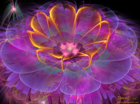 ~Flower of Dreams~