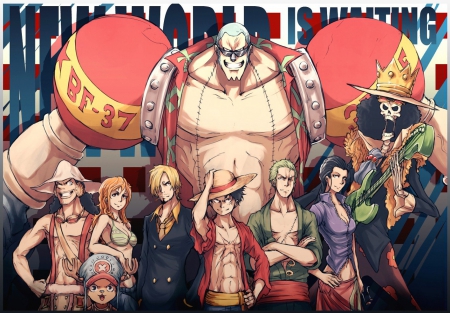 One Piece New World - one, piece, one piece, one piece new world, anime, new world