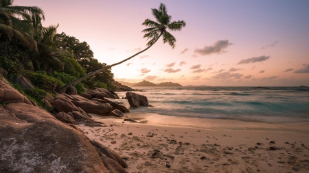 sunset on a beautiful rocky beach - rocks, beach, trees, sunset, sea