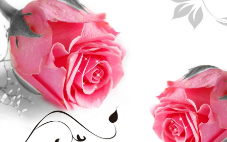 Pink rose - flowers, pink, rose, art