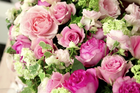 ROSES - nature, flowers, roses, pink