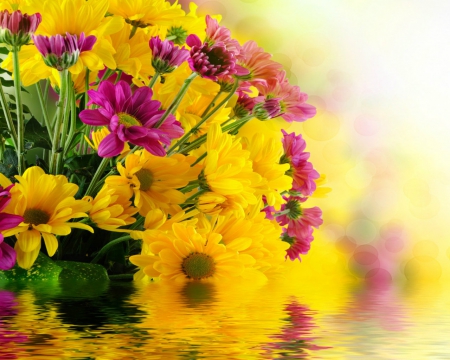 Beautiful flowers - flowers, reflection, bloom, petals