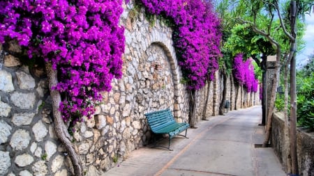 walkway by a flower covered stone wall - flowers, benches, stones, walkway, wall