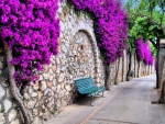 walkway by a flower covered stone wall