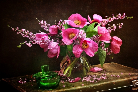 Still Life - flowers, nature, pink flowers, with love, petals, still life