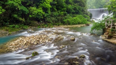 Forest waterfall - nature, water, forest, waterfall