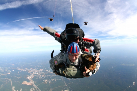 skydive - parachute, dog, keeper, atmosphere