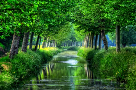 Beautiful Grove And Canal - Belgium, river, trees, green, canal, grass