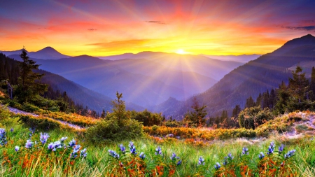 Sunrise - nature, mountain, sunrise, landscape