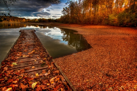 Autumn - trees, nature, river, autumn