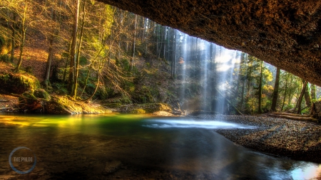 Nature - trees, nature, water, green