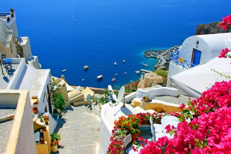 Santorini - mediterranean, summer, travel, greece, water, beautiful, flowers, shore, blue, town, houses, view, santorini, sea