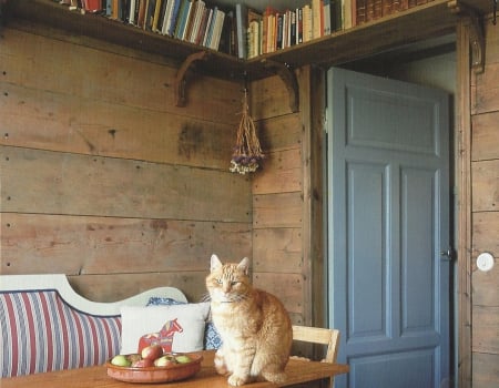 Cat - door, cute, table, books, paws, cat