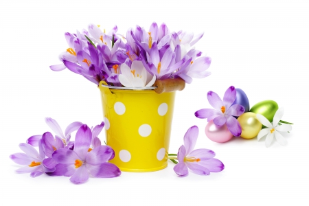 â™¥Crocus Flowersâ™¥ - eggs, crocus, easter, flowers, bouquet