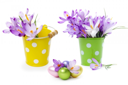 â™¥Crocus Flowersâ™¥ - eggs, crocus, easter, flowers, bouquet