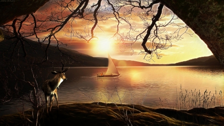 Beautiful day - sunset, nature, manipulation, lake, forest, sun, sky, animals