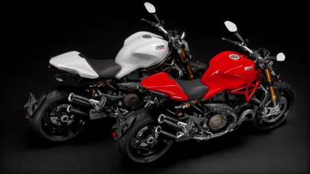 Twins - bike, motor, ducati, monster