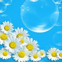 Flowers and bubbles