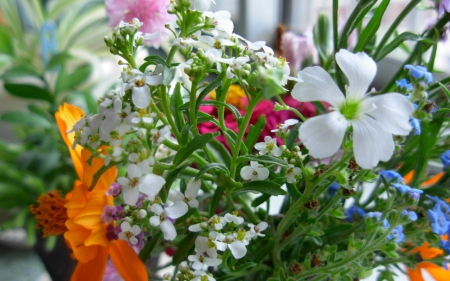 Beautiful flowers - flowers, leaves, petals, nature