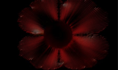 Digital Flower - backlight, digital, flower, red