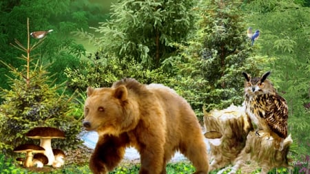 Woodland Watchers - owl, bear, trees, birds, stump, mushrooms, forest