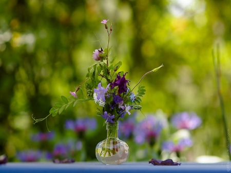 Flower Garden - trees, window, sun, flower garden, flowers, still life, vase