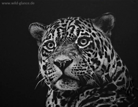 Jaquar - dots, black, head, spots