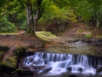 Creek Waterfall