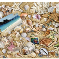 SEASHELLS BY THE SEA SHORE