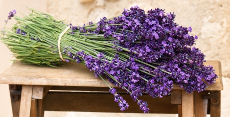 ♥Lavender♥ - flowers, violet, lavender, bouquet