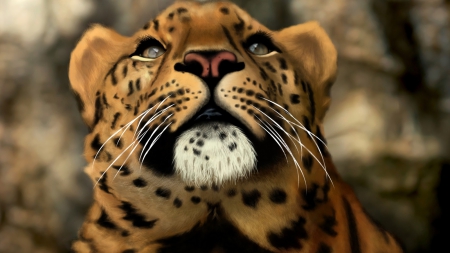 Leopard - leopard, cats, wallpaper, animals, big cats, new, painting, leopards