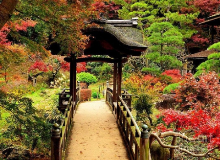 Japanese Garden - nature, gate, japan, japanese, bridge, garden