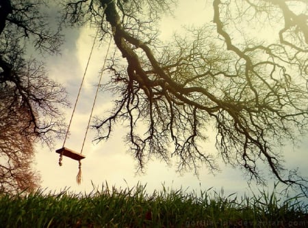 Memories of Children - swing, clouds, photo, tree, sky