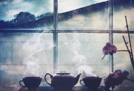 Jasmine Tea - flowers, jasmine, window, tea, teapot, photo, cup