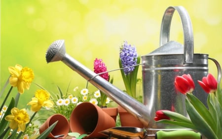 Gardening - watering can, art, flowers, pot