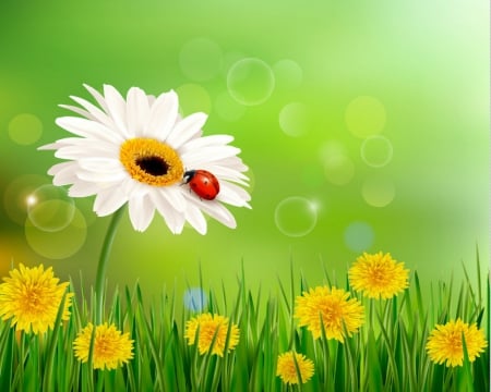 Beautiful flowers - green, lady bug, grass, flower