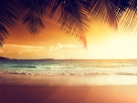 â™¥Tropical Sunsetâ™¥