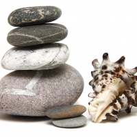 Shell and Stones