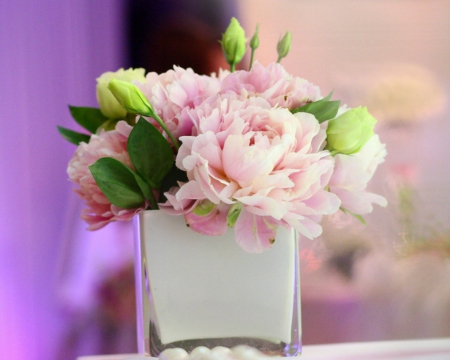 Beautiful flowers - flowers, vase, petals, pink